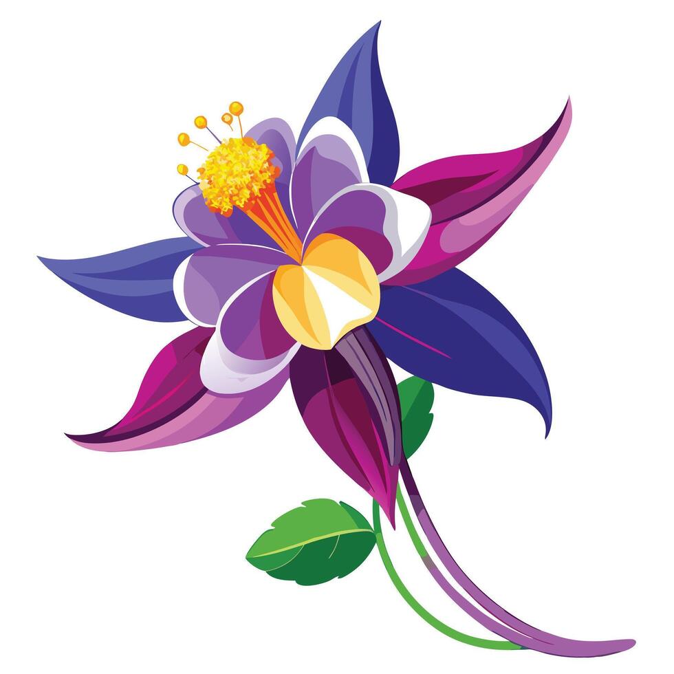 Detailed Illustration of a Columbine Flower with White Petals and Long Stems vector