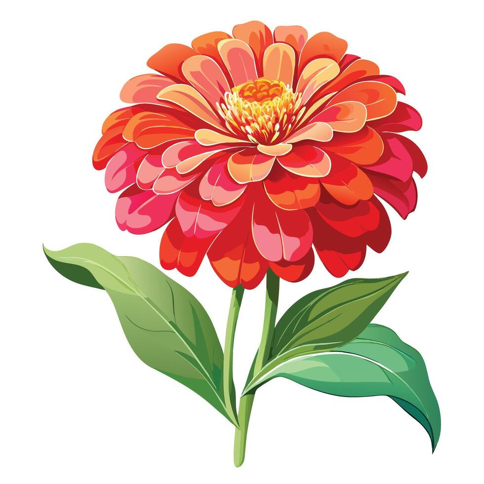 Beautiful Colorful Zinnia Plant with Brightly Colored Flowers and Green Leaves vector