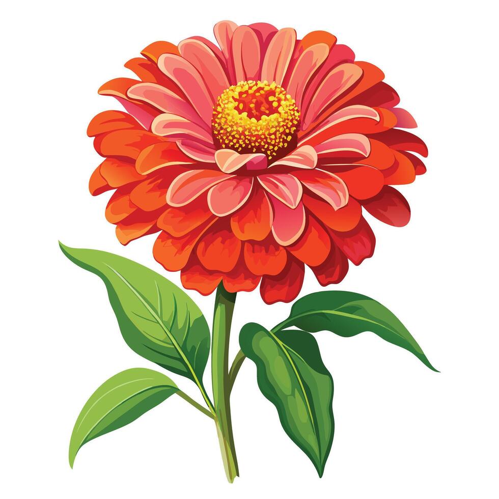 Colorful Zinnia Plant with Pink Flowers and Green Leaves in a Garden Setting vector