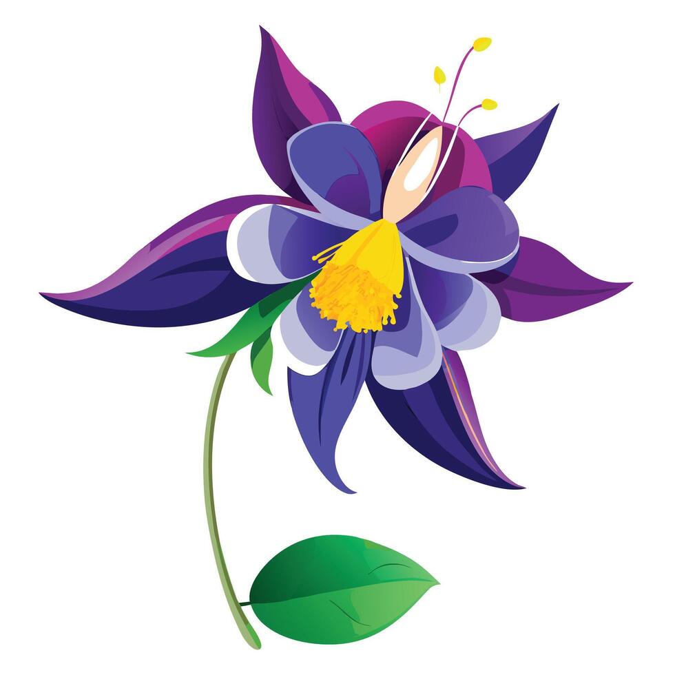 Columbine Flower with Purple Petals and Green Leaves in a Garden Setting vector