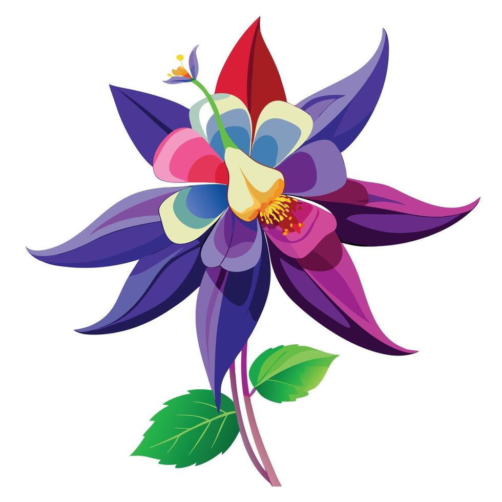 Columbine Flower with Pink Petals and Green Leaves in a Garden Setting vector