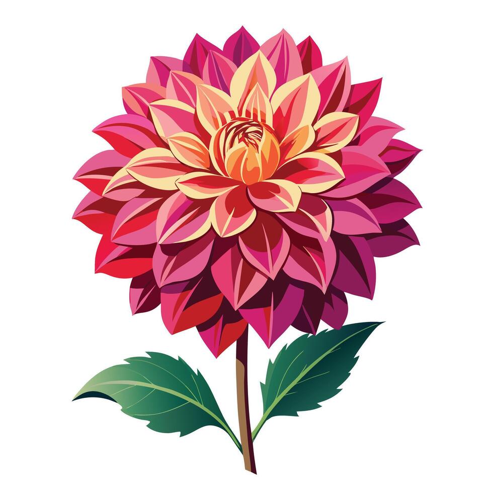Dahlia Plant with Pink Flowers and Green Leaves in a Garden Setting vector