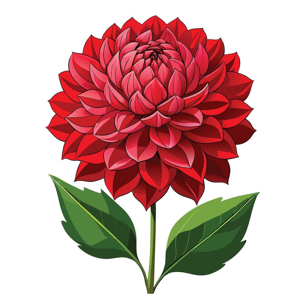 Vibrant Dahlia Plant with Brightly Colored Flowers and Leaves in a Natural Setting vector