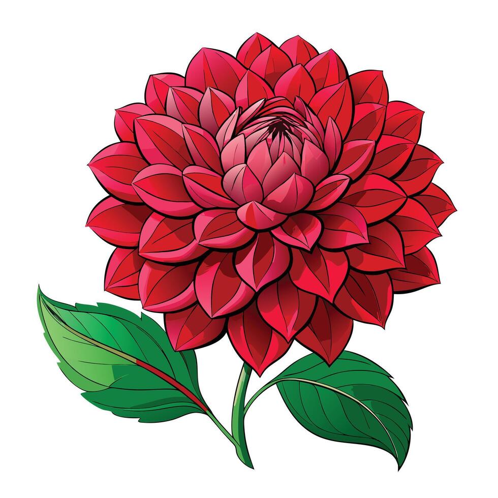 Beautiful Dahlia Plant with Large Flowers and Leaves vector