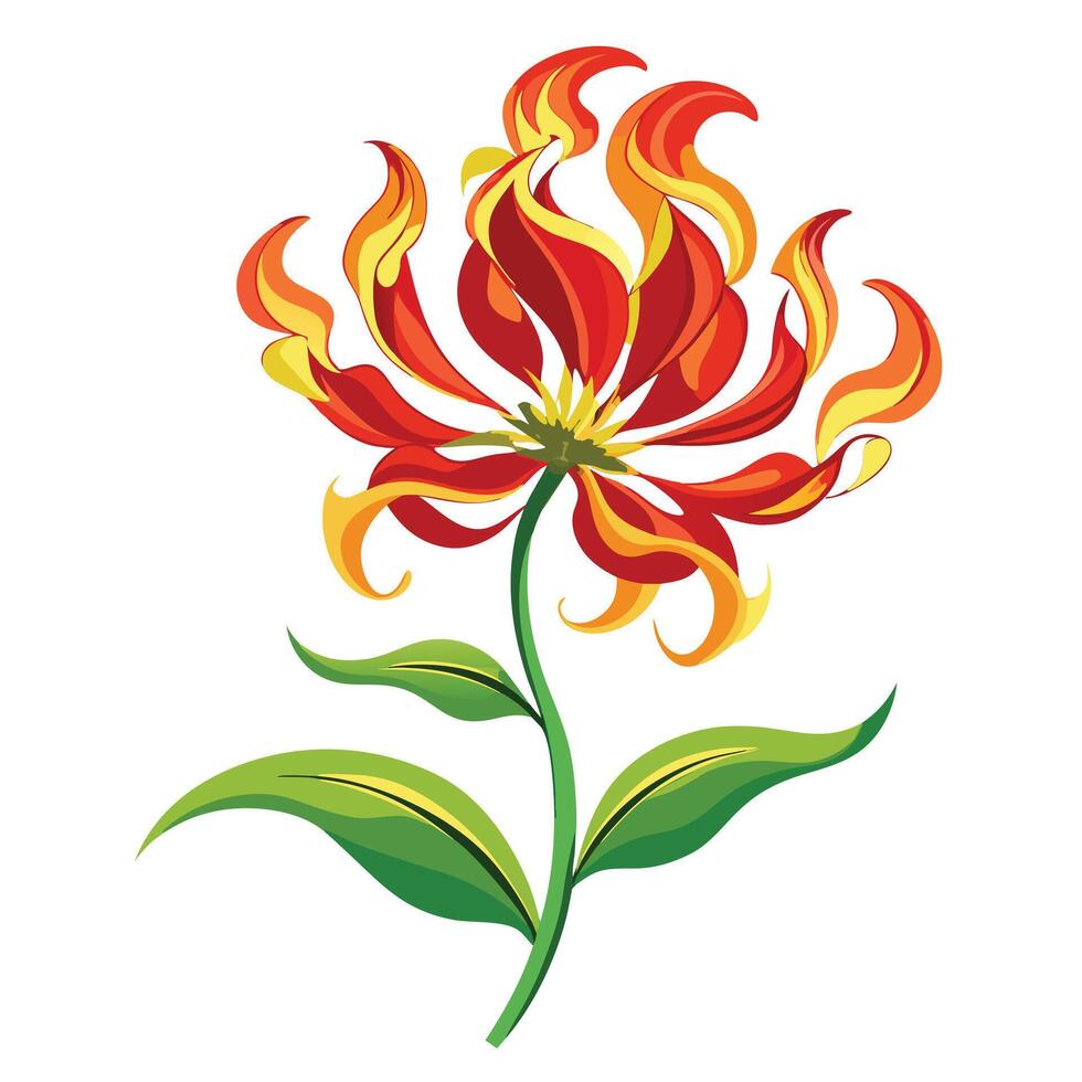 Vibrant Flame Lily Plant with Brightly Colored Flowers and Leaves in a Natural Setting vector