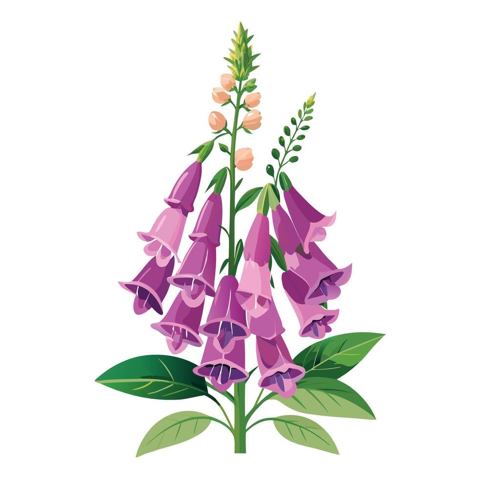 Vibrant Foxglove Plant with Brightly Colored Flowers and Leaves in a Natural Setting vector