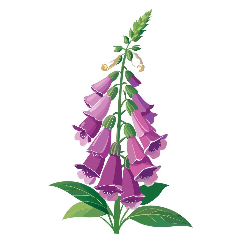 Intricate Details of a Foxglove Plant in a Natural Setting with Wildflowers and Butterflies vector