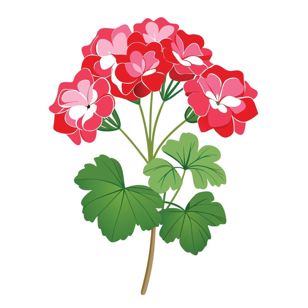 Intricate Details of a Geranium Plant in a Natural Setting with Wildflowers and Butterflies vector
