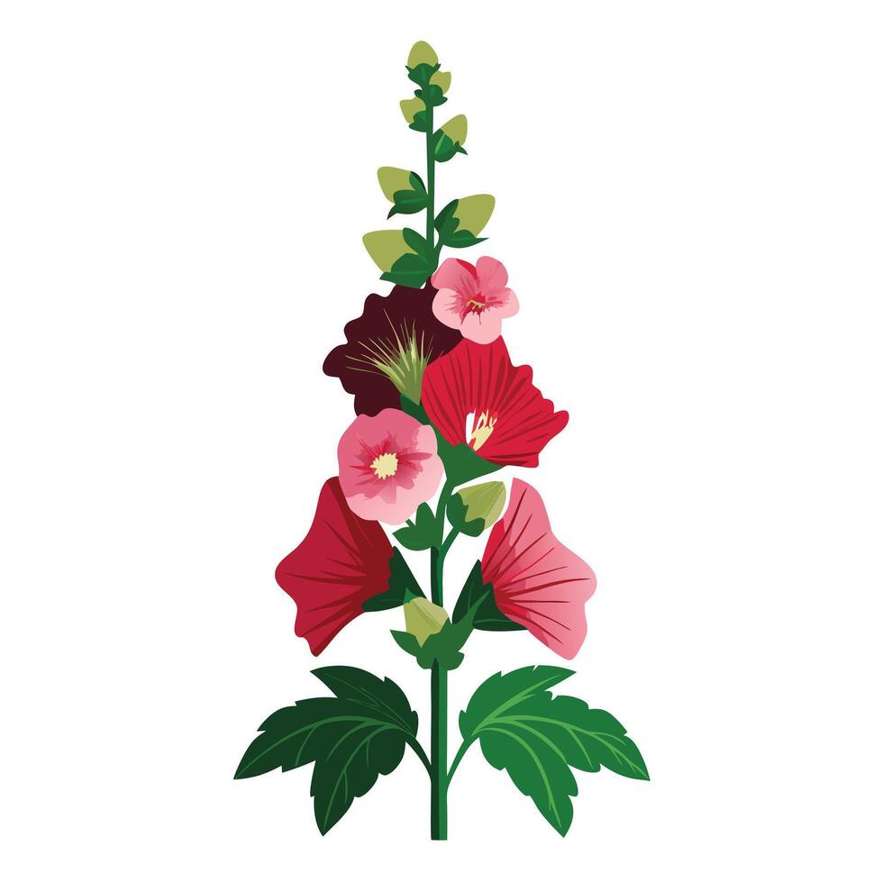 Botanical Illustration of a Hollyhock Plant in Full Bloom with Green Leaves and Stems vector