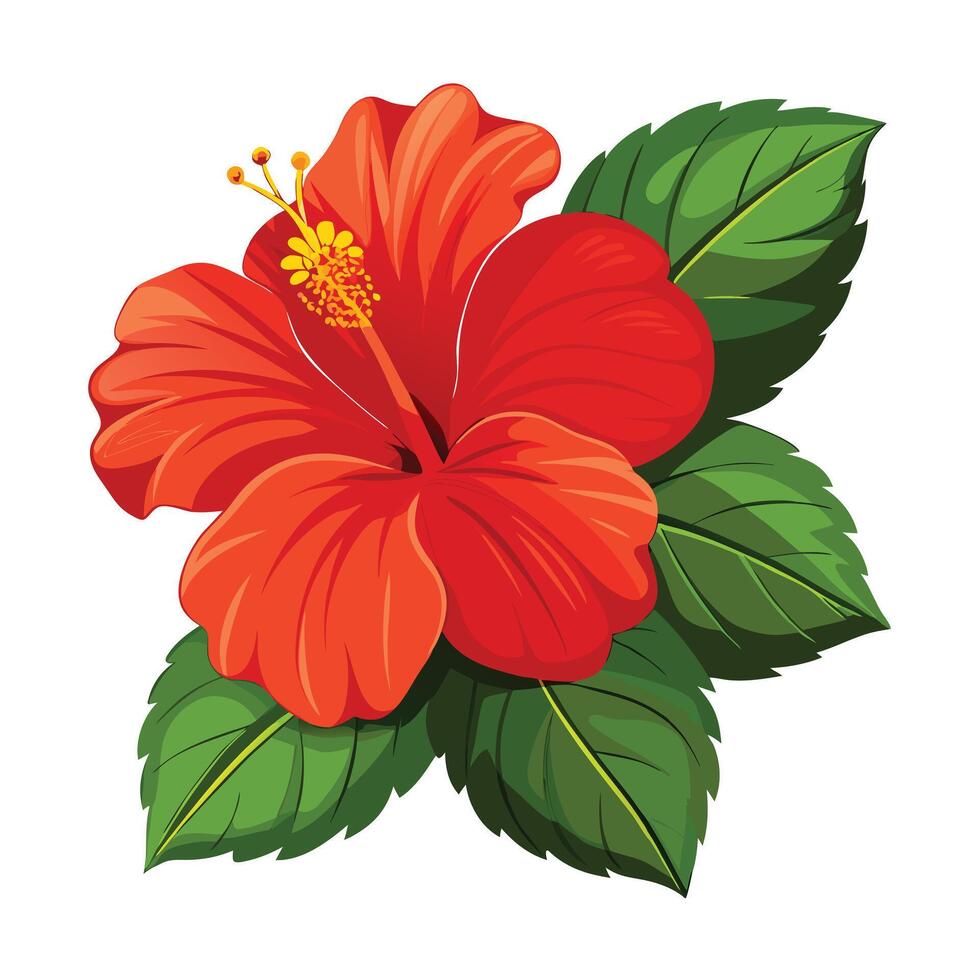 Botanical Illustration of a Hibiscus Plant in Full Bloom with Green Leaves and Stems vector
