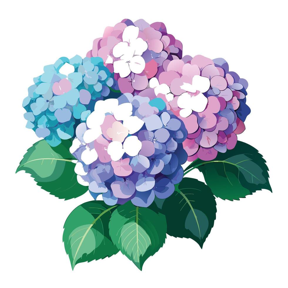 Vibrant Hydrangea Plant with Brightly Colored Flowers and Leaves in a Natural Setting vector
