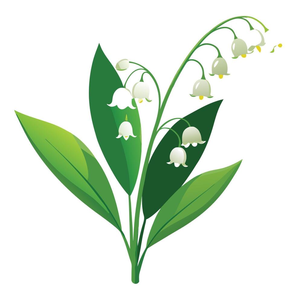 Intricate Details of a Lily of the Valley Plant in a Natural Setting with Wildflowers and Butterflies vector