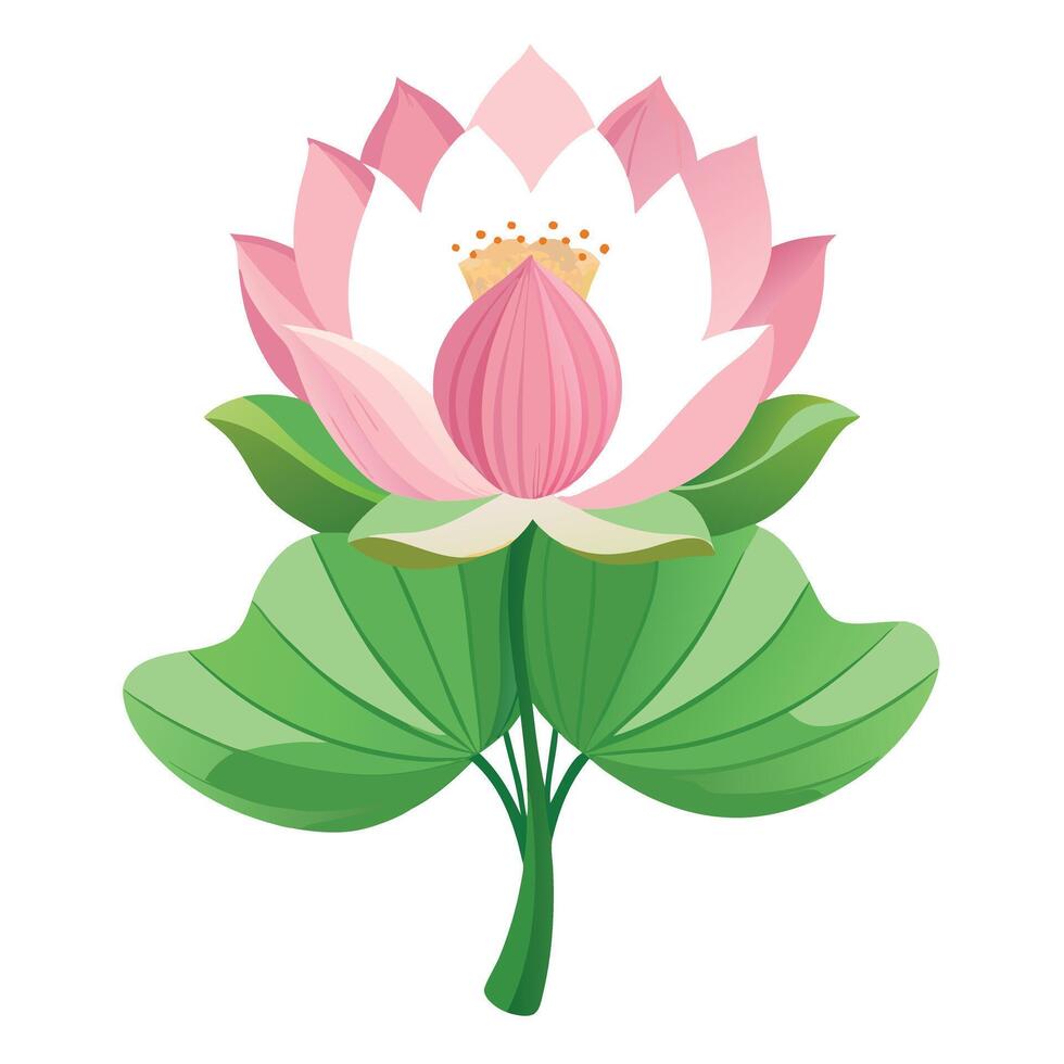 Vibrant Lotus Flower Plant with Brightly Colored Flowers and Leaves in a Natural Setting vector