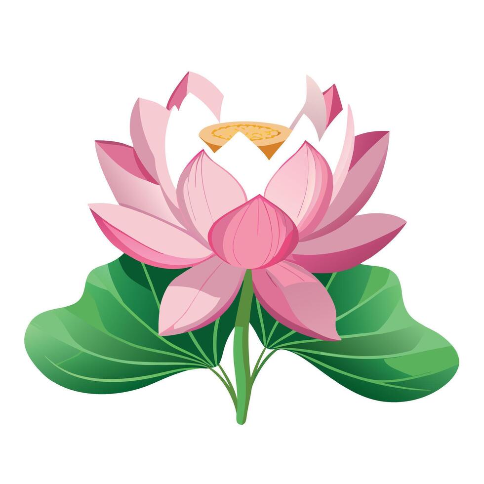 Lotus Flower Plant with Yellow Flowers and Green Leaves in a Garden Setting vector