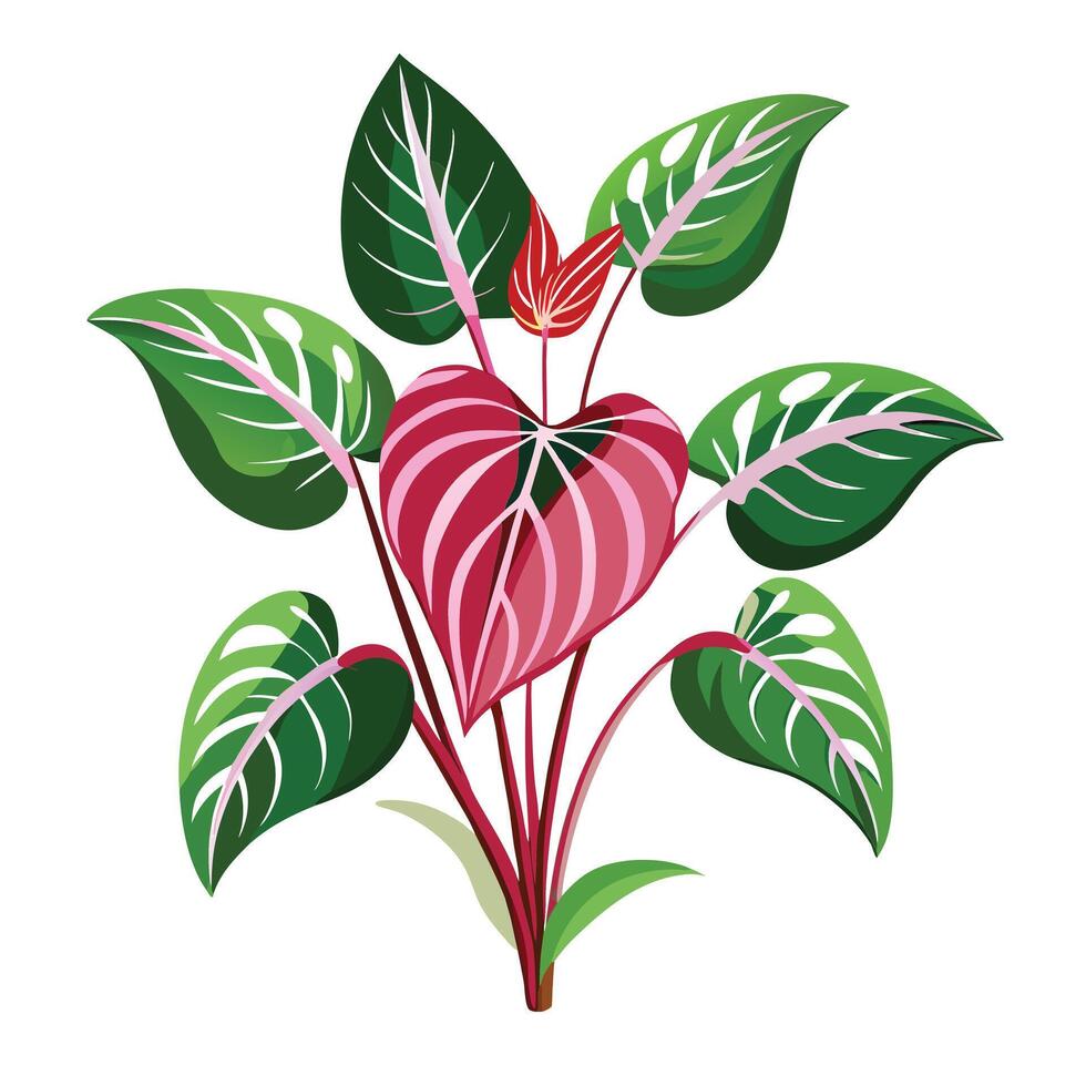 Maranta Prayer Plant with Purple Flowers and Green Leaves in a Garden Setting vector
