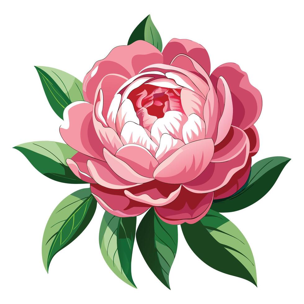 Detailed Illustration of a Peony Flower with White Petals and Long Stems vector