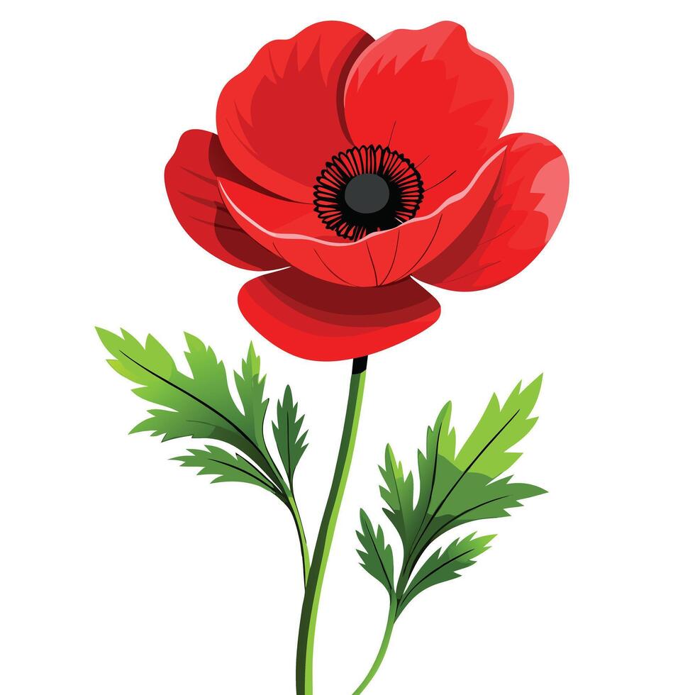 Detailed Illustration of a Poppy Plant with White Petals and Long Stems vector