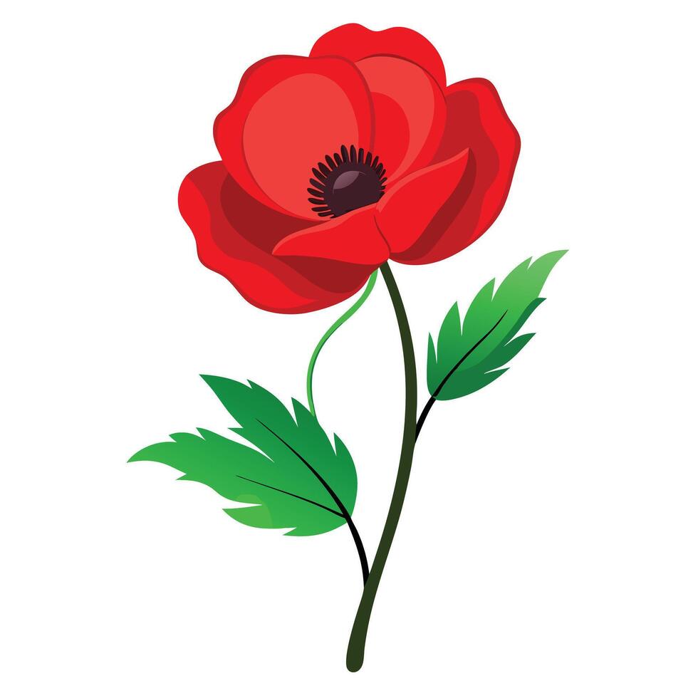 Poppy Plant with Purple Flowers and Green Leaves in a Garden Setting vector