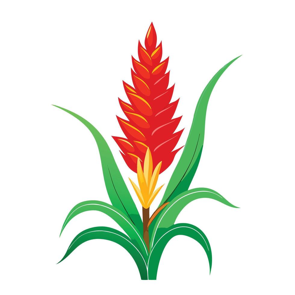 Detailed Illustration of a Red Hot Poker Plant with White Petals and Long Stems vector