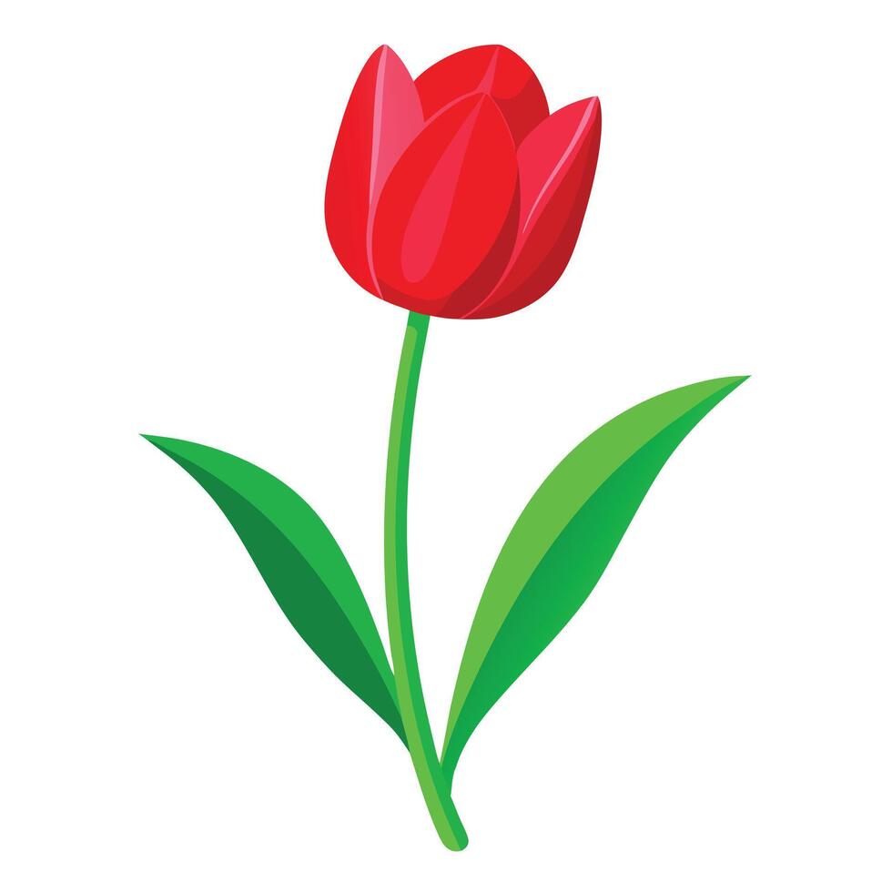 Red Tulip Plant with Purple Flowers and Green Leaves in a Garden Setting vector