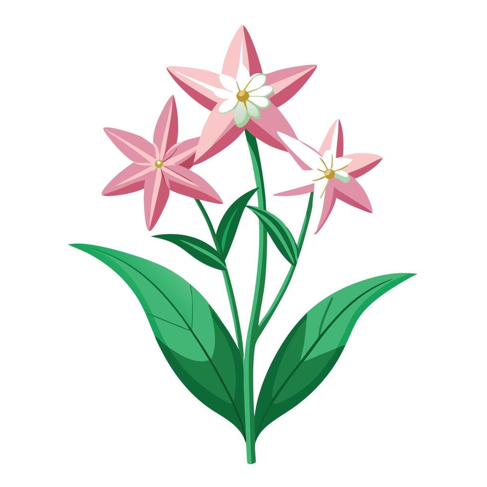 Shooting Star Plant with Yellow Flowers and Green Leaves in a Garden Setting vector