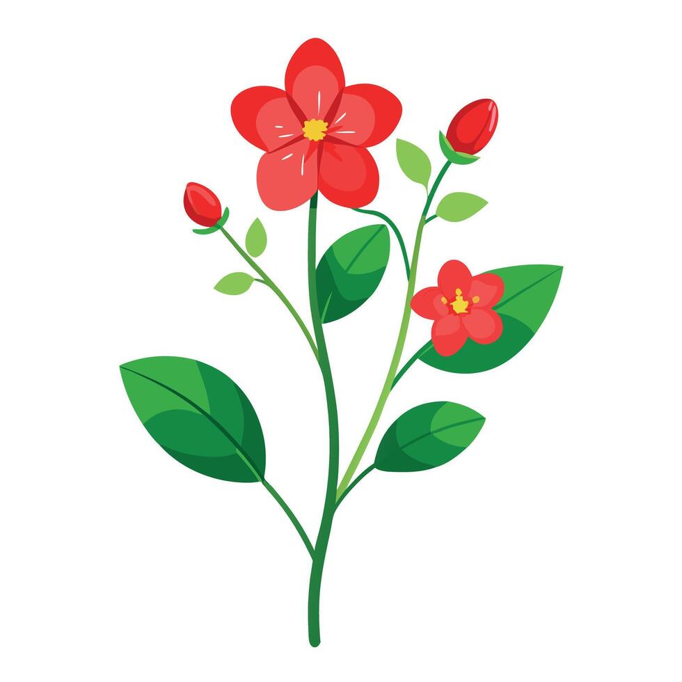 Beautiful Scarlet Pimpernel Plant with Small Red Flowers and Green Leaves vector
