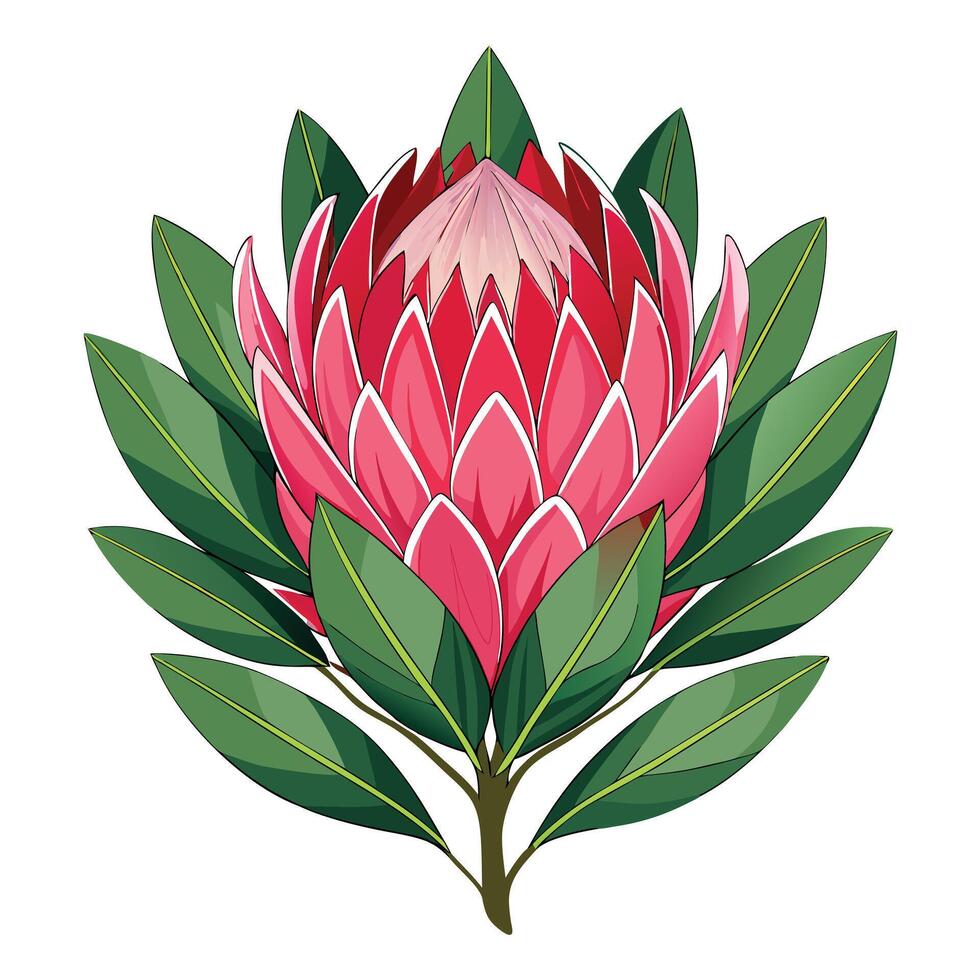 Intricate Details of a Protea Flower in a Natural Setting with Wildflowers and Butterflies vector