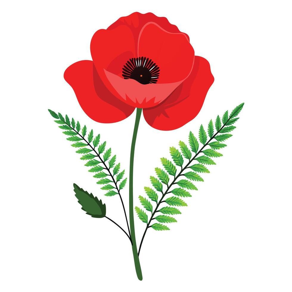 Vibrant Wild Poppy Plant with Brightly Colored Flowers and Leaves in a Natural Setting vector