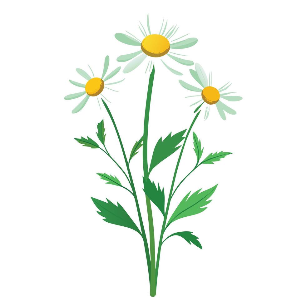 Intricate Details of a Wildflower Plant in a Natural Setting with Wildflowers and Butterflies vector