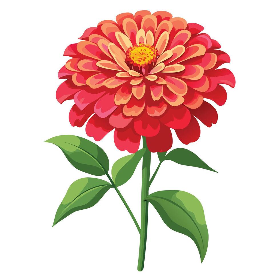 Beautiful Zinnia Plant with Large Flowers and Leaves vector