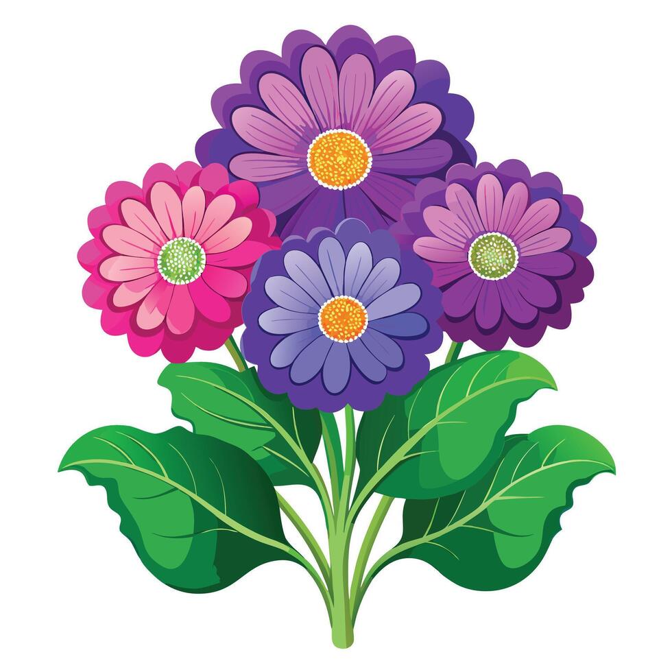 Botanical Portrayal of a Cineraria Plant in Full Bloom with Green Leaves and Stems vector