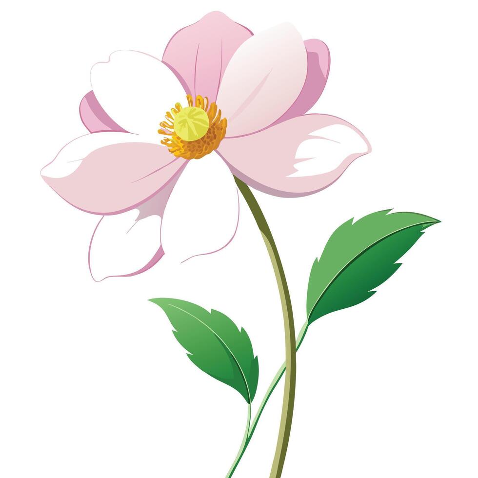 Vibrant Japanese Windflower with Brightly Colored Flowers and Leaves in a Natural Setting vector