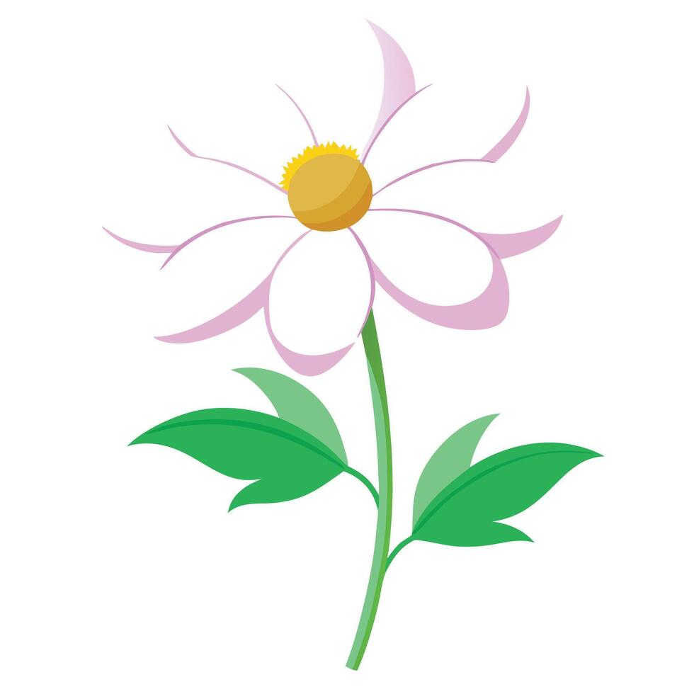 Botanical Portrayal of a Japanese Windflower in Full Bloom with Green Leaves and Stems vector