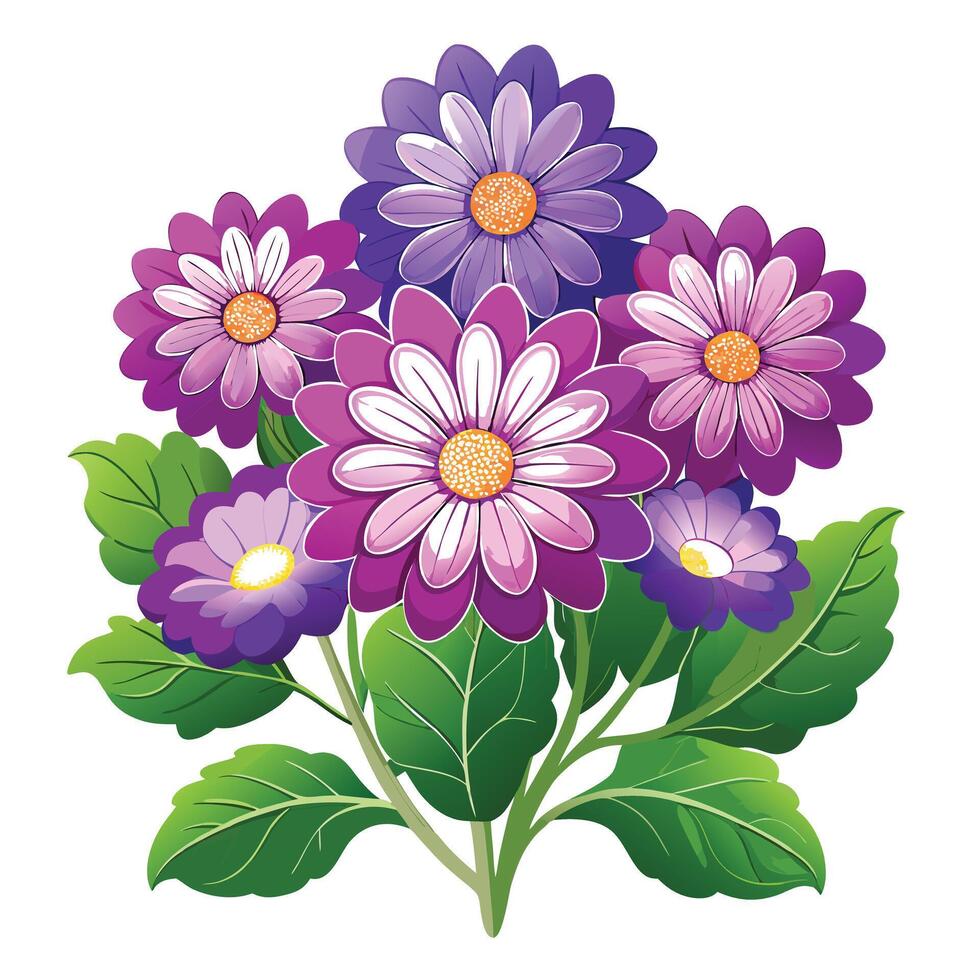 Beautiful Cineraria Plant with Delicate Flowers and Leaves vector