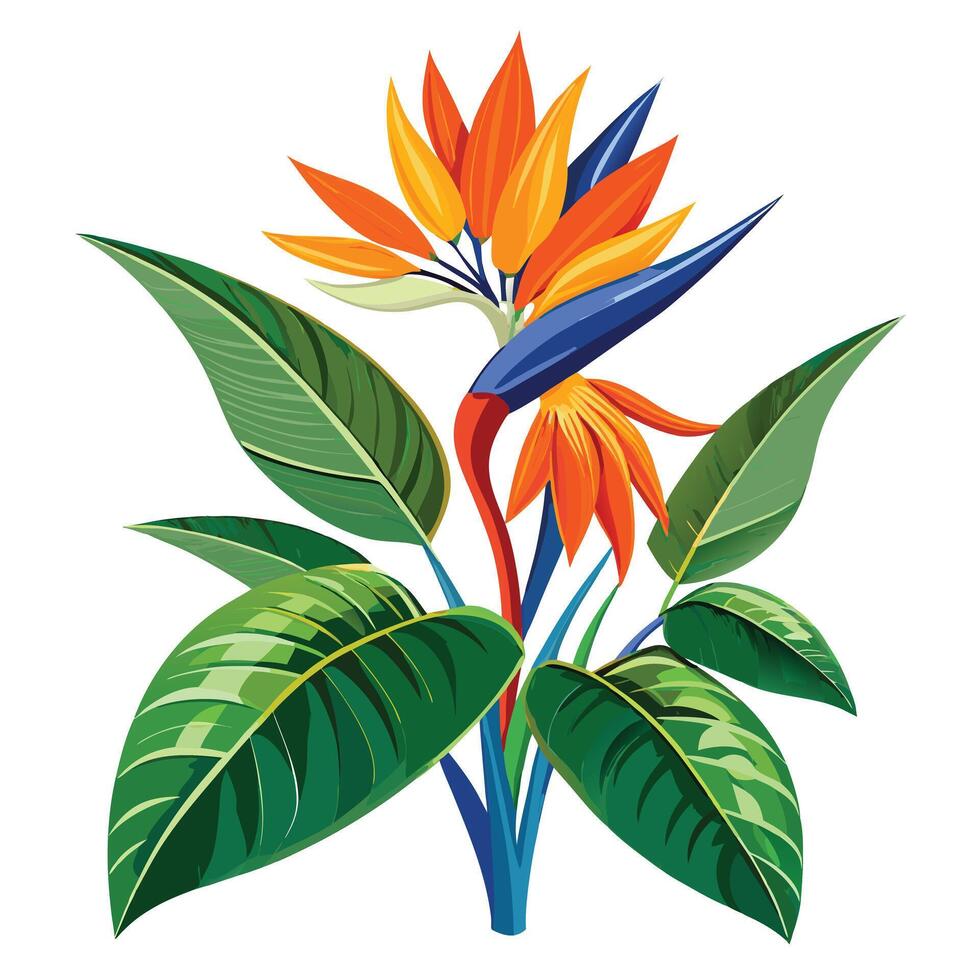 Vibrant Bird of Paradise Plant with Brightly Colored Flowers and Leaves in a Natural Setting vector