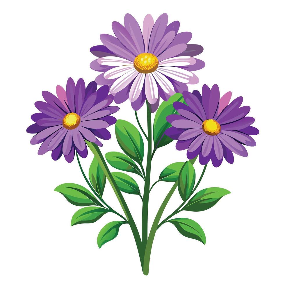 Cape Daisy Plant with Pink Flowers and Green Leaves in a Garden Setting vector