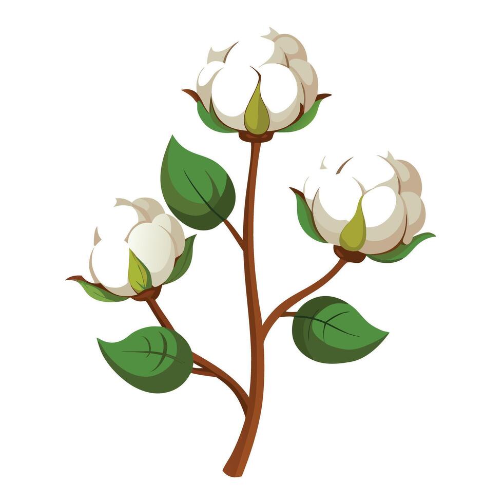 Beautiful Cotton Plant with Fluffy White Flowers and Green Leaves vector