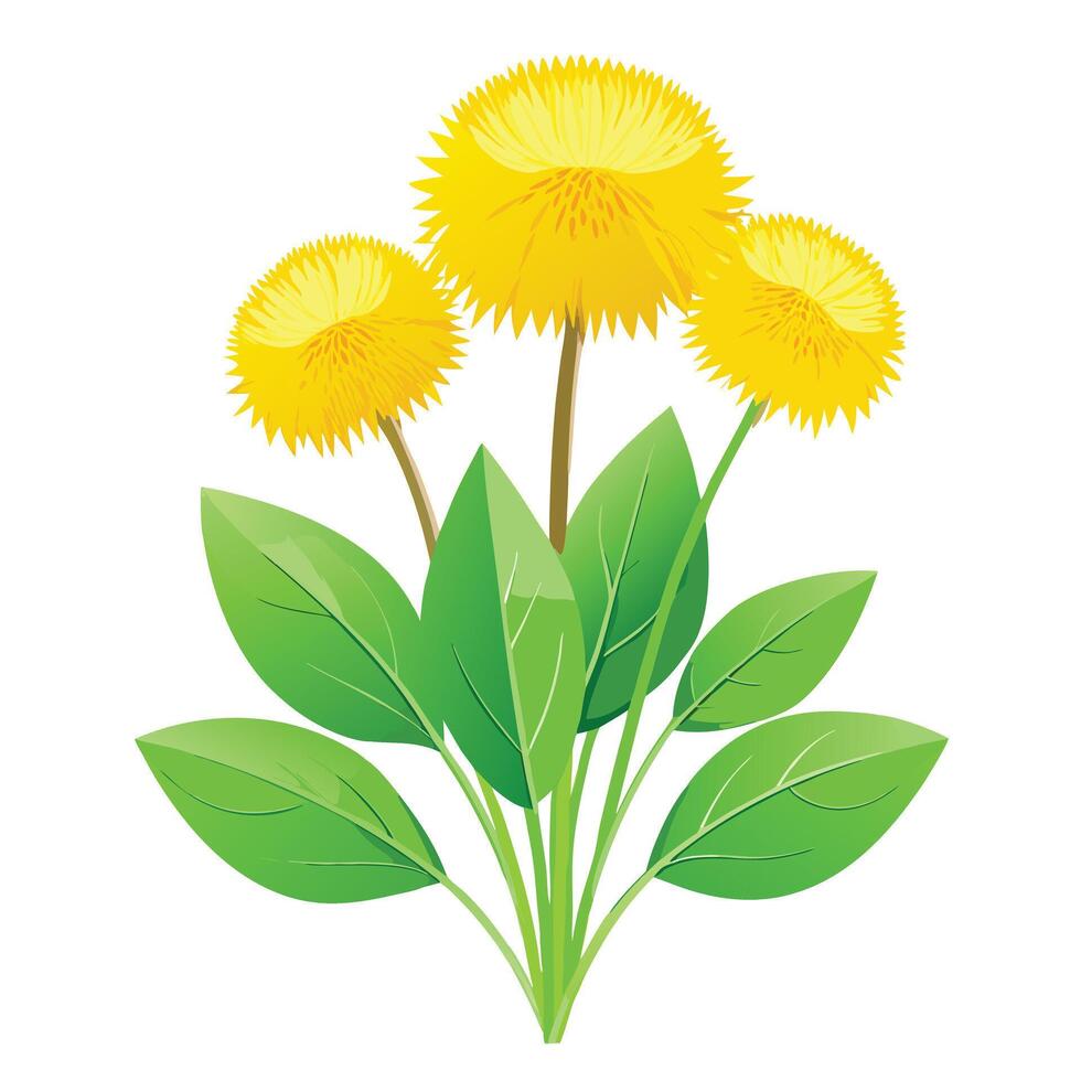 Dandelion Plant with Purple Flowers and Green Leaves in a Garden Setting vector
