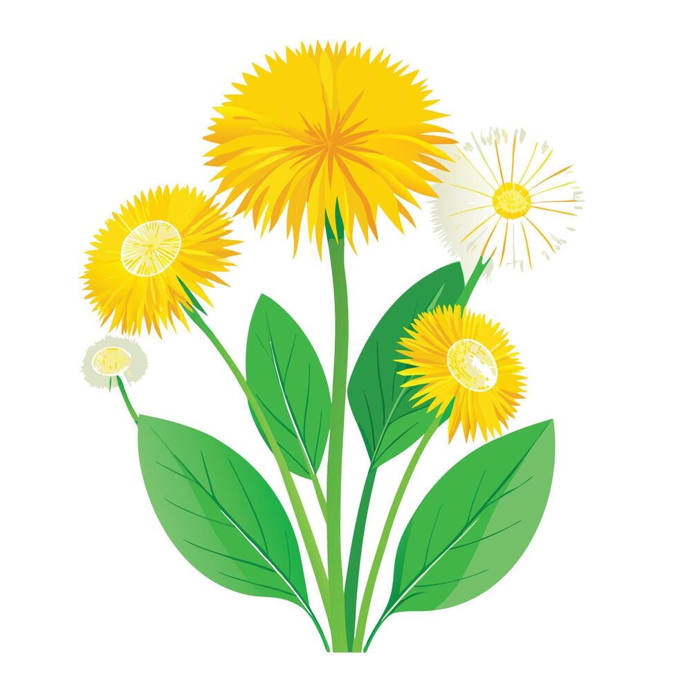 Dandelion Plant with Pink Flowers and Green Leaves in a Garden Setting vector