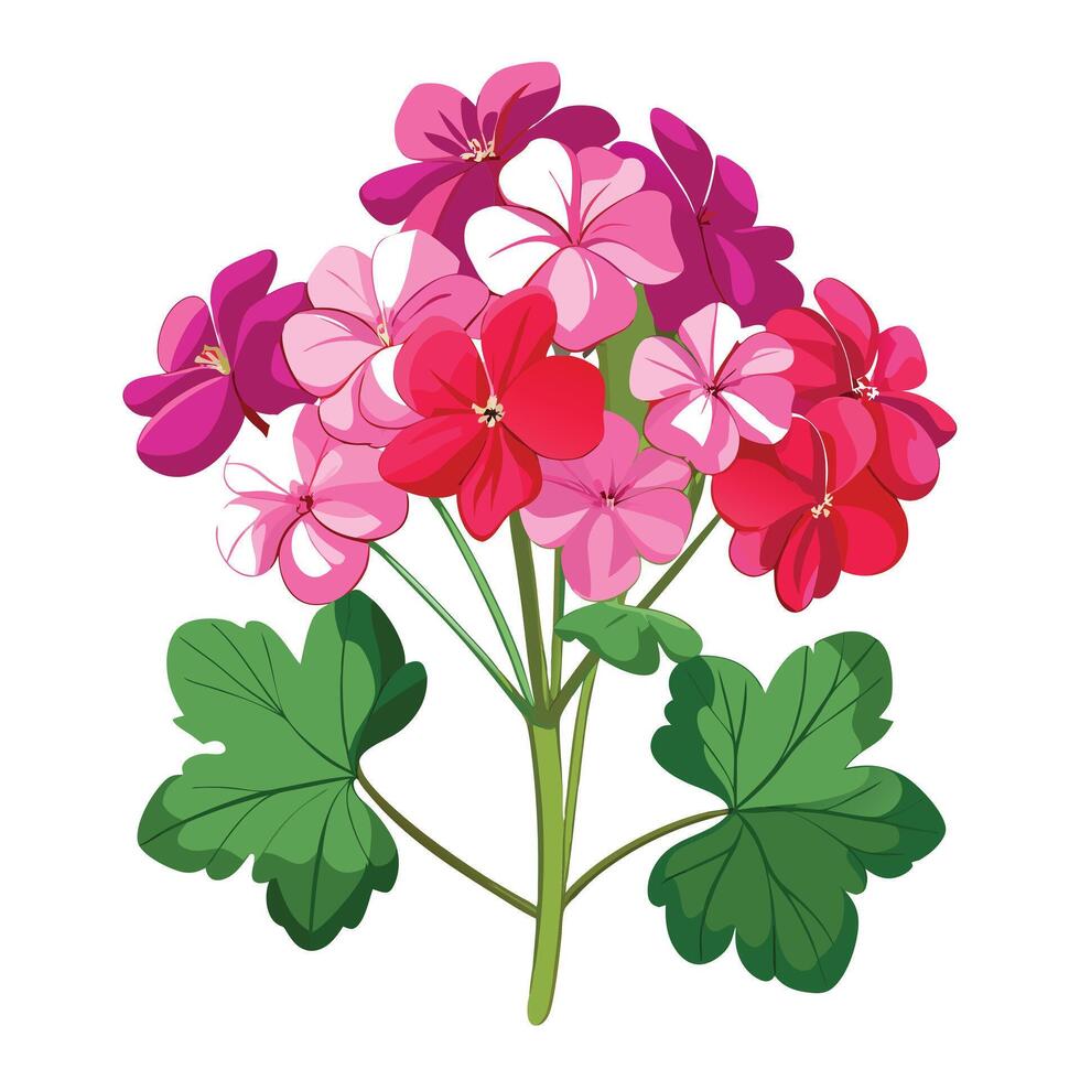 Geranium Plant with Yellow Flowers and Green Leaves in a Garden Setting vector