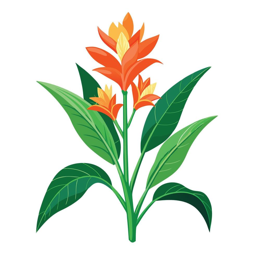 Ginger Lily Plant with Purple Flowers and Green Leaves in a Garden Setting vector