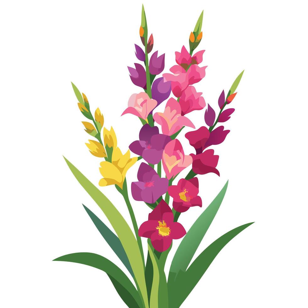 Detailed Illustration of a Gladiolus Plant with White Petals and Long Stems vector