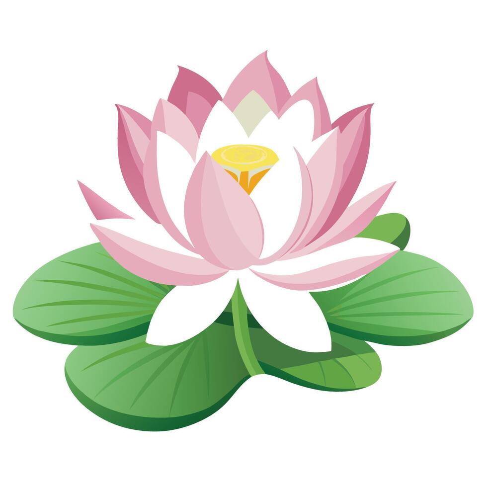Lotus Flower with Purple Flowers and Green Leaves in a Garden Setting vector