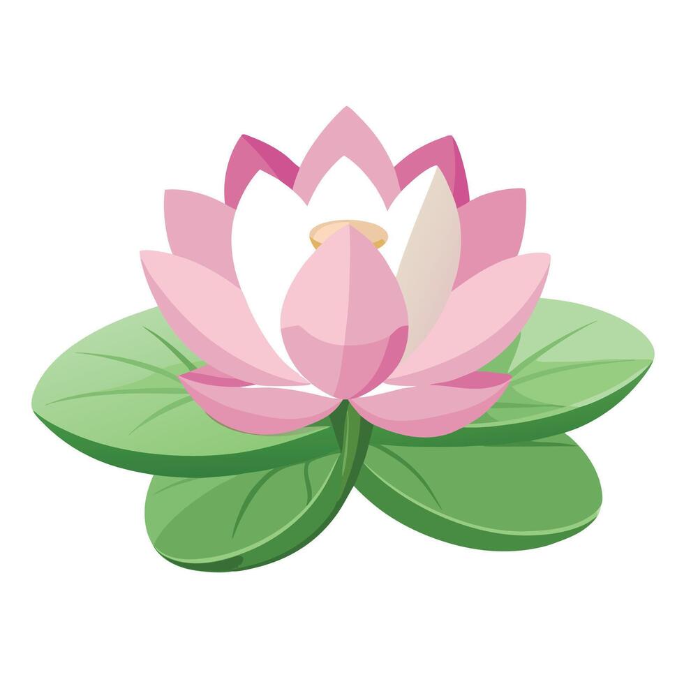 Beautiful Lotus Flower with Large Pink Petals and Green Leaves vector