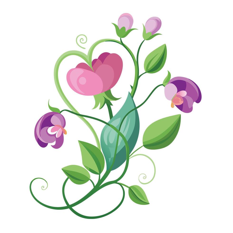 Botanical Rendering of a Sweet Pea Flower in Full Bloom with Green Leaves and Stems vector