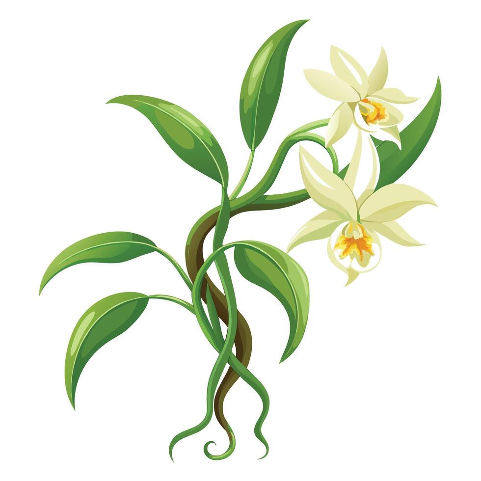Intricate Details of a Vanilla Orchid Plant in a Natural Setting with Wildflowers and Butterflies vector