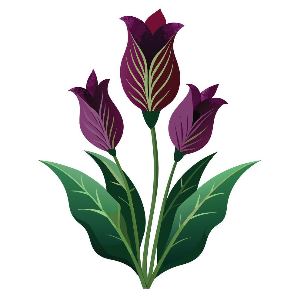 Botanical Rendering of a Voodoo Lily in Full Bloom with Green Leaves and Stems vector