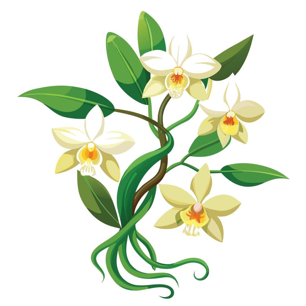 Vibrant Vanilla Orchid Plant with Brightly Colored Flowers and Leaves in a Natural Setting vector