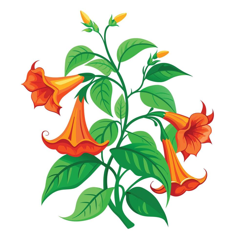 Intricate Details of a Trumpet Creeper Plant in a Natural Setting with Wildflowers and Butterflies vector