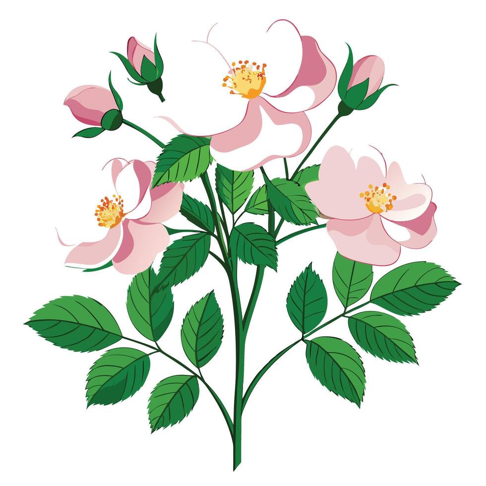 Vibrant Wild Rose Plant with Brightly Colored Flowers and Leaves in a Natural Setting vector
